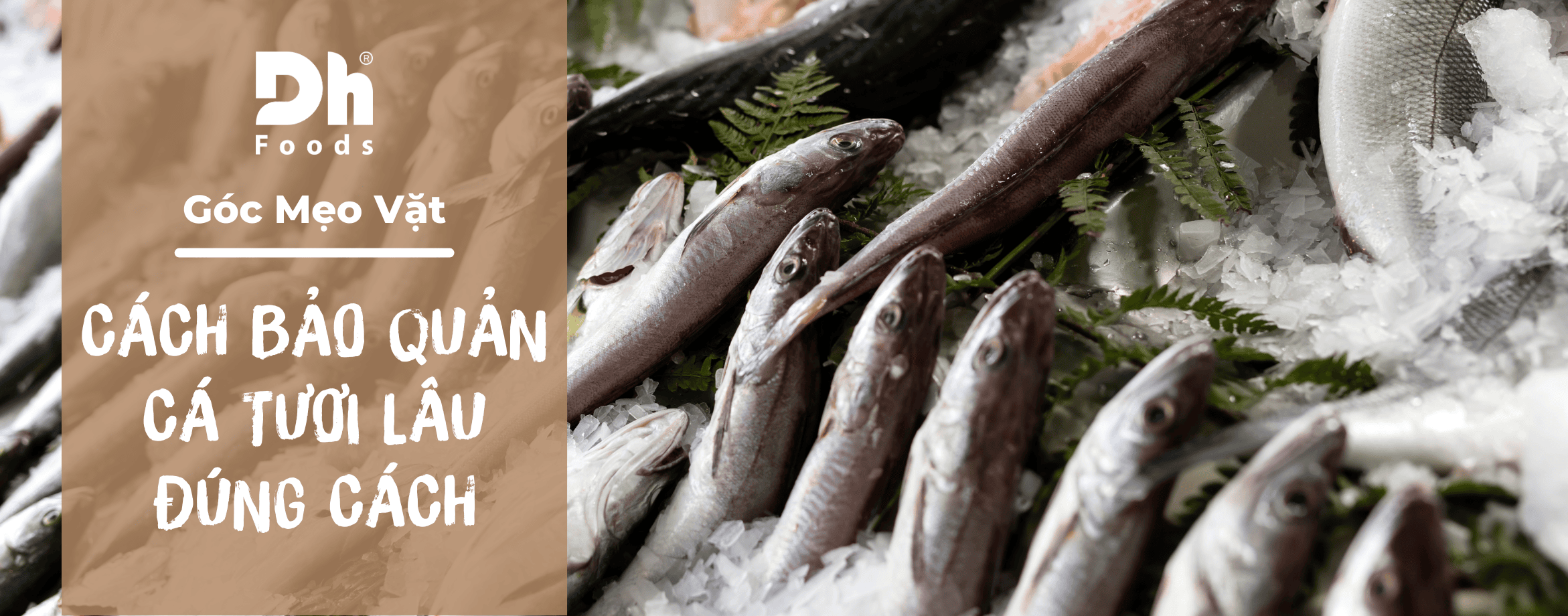 C&aacute;ch bảo quản c&aacute; tươi l&acirc;u m&agrave; chị em nội trợ cần biết