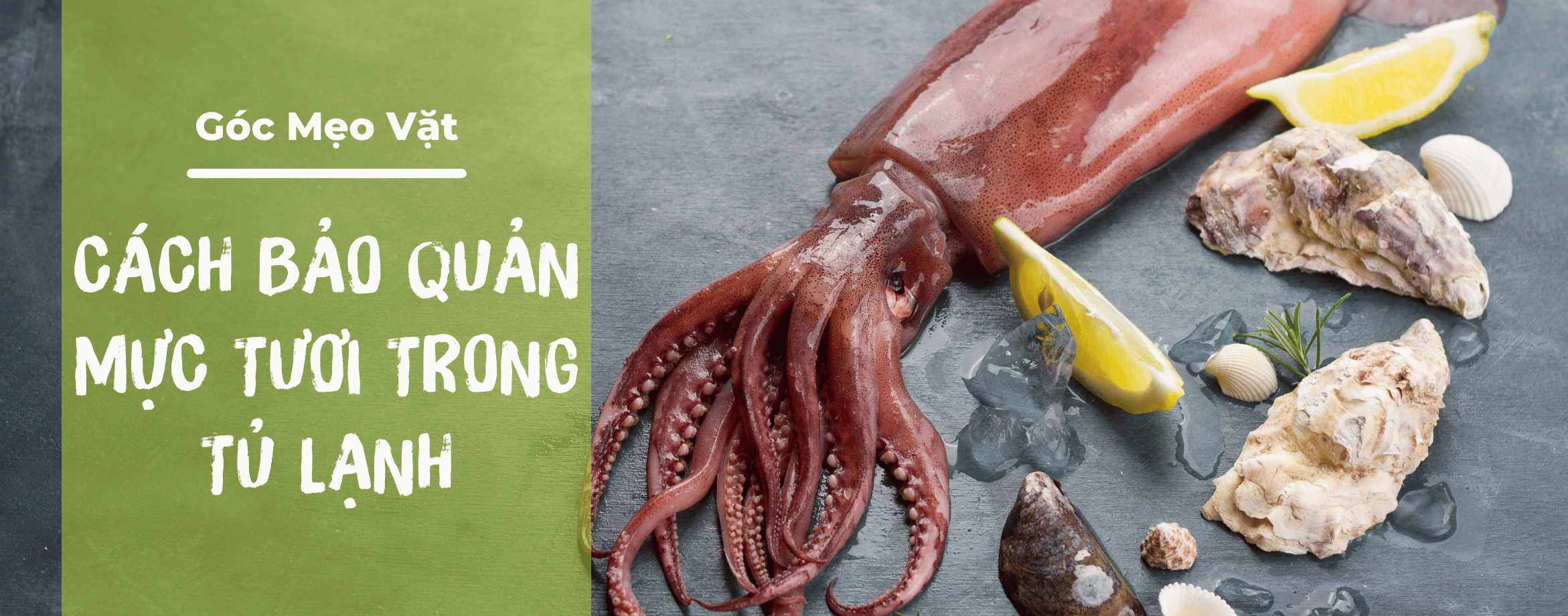 신선한 오징어를 냉장고에 오래 보관하는 방법