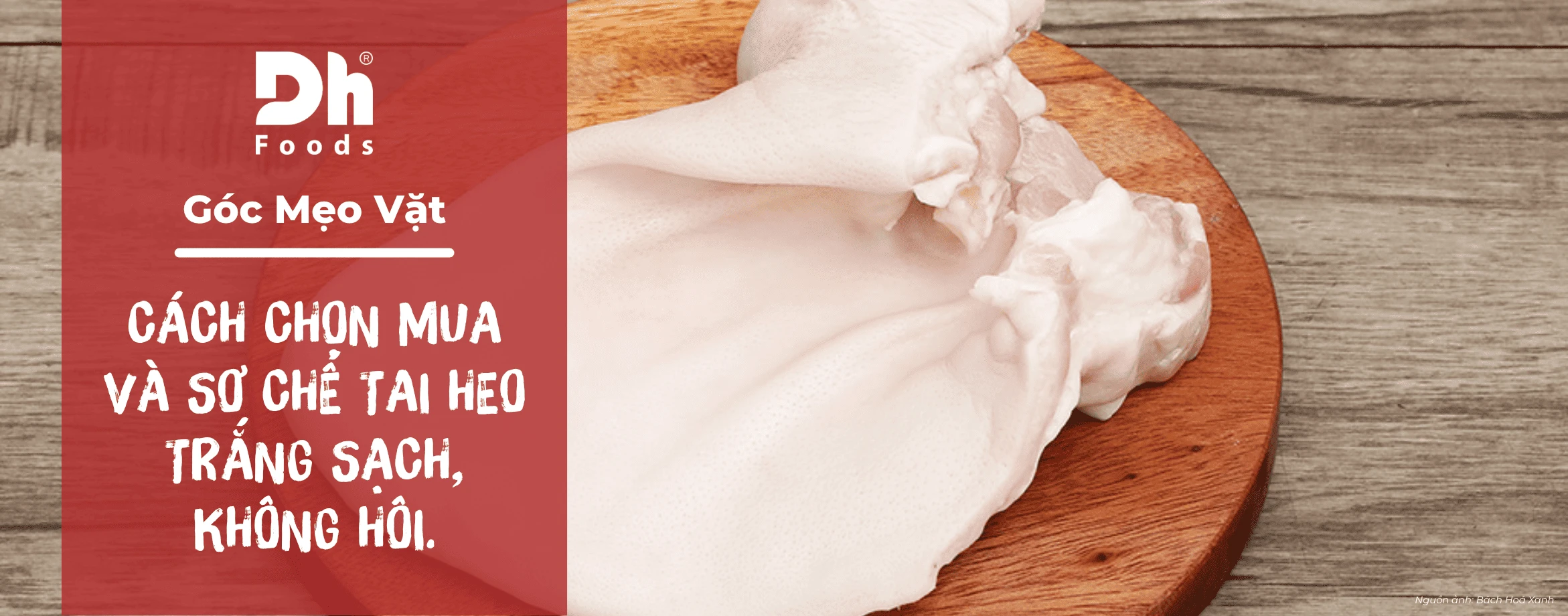 C&aacute;ch chọn mua v&agrave; sơ chế lỗ tai heo trắng sạch, kh&ocirc;ng h&ocirc;i cực nhanh ch&oacute;ng