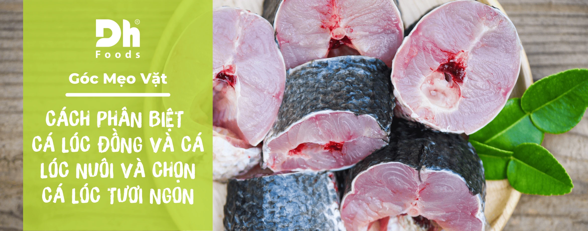 Ph&acirc;n biệt c&aacute; l&oacute;c nu&ocirc;i v&agrave; c&aacute; l&oacute;c đồng. C&aacute;ch chọn c&aacute; l&oacute;c tươi ngon v&agrave; mẹo sơ chế nhanh ch&oacute;ng