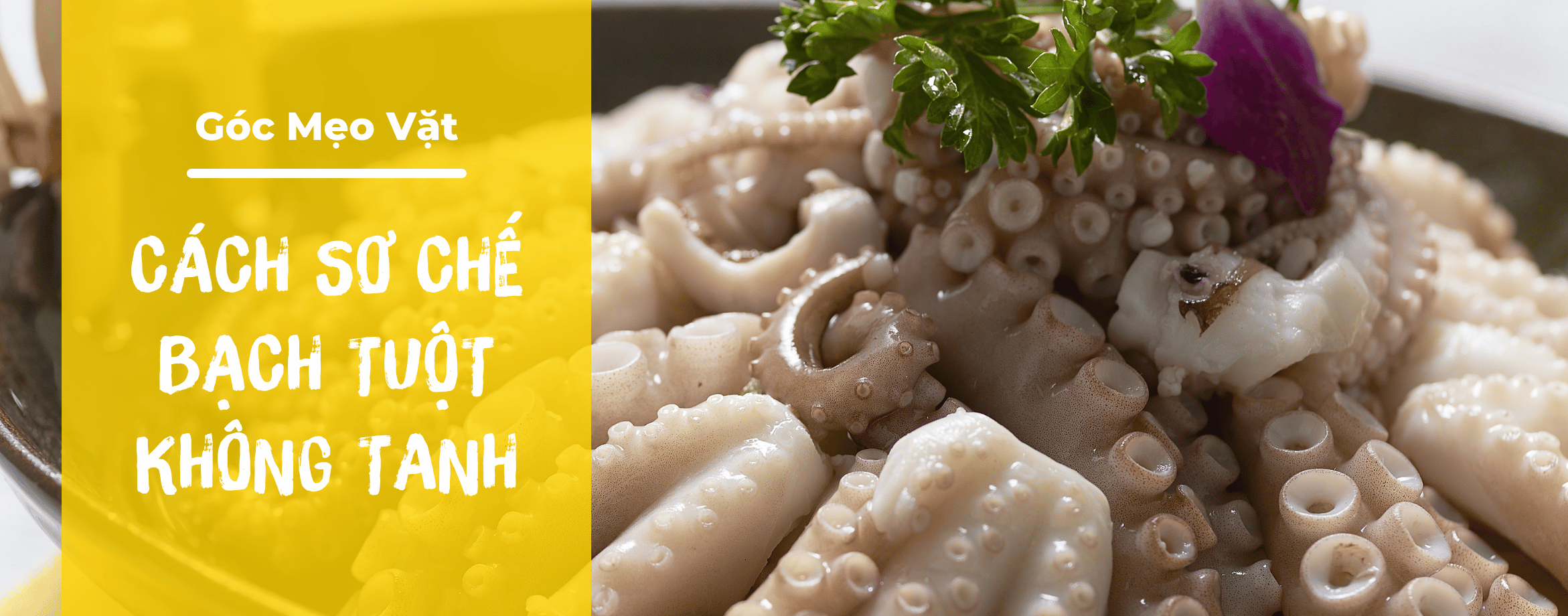 Bỏ t&uacute;i c&aacute;ch sơ chế bạch tuộc sống kh&ocirc;ng tanh, sạch sẽ, nhanh ch&oacute;ng ngay tại nh&agrave;