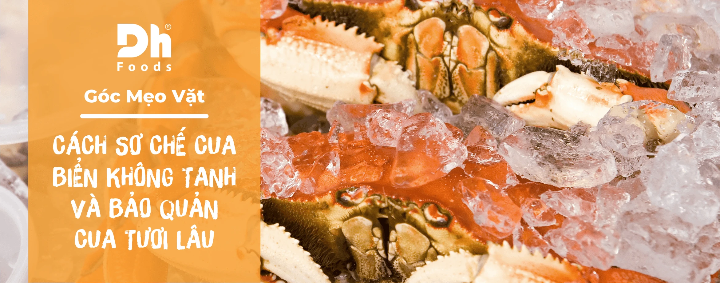 C&aacute;ch sơ chế cua biển kh&ocirc;ng tanh v&agrave; b&iacute; quyết bảo quản thịt cua được tươi l&acirc;u